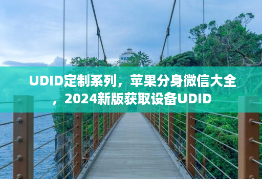  UDID定制系列，苹果分身微信大全，2024新版获取设备UDID