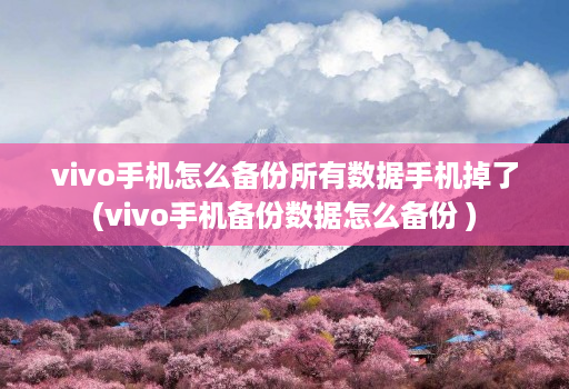 vivo手机怎么备份所有数据手机掉了(vivo手机备份数据怎么备份 )