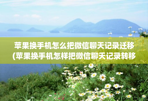 苹果换手机怎么把微信聊天记录迁移(苹果换手机怎样把微信聊天记录转移 )