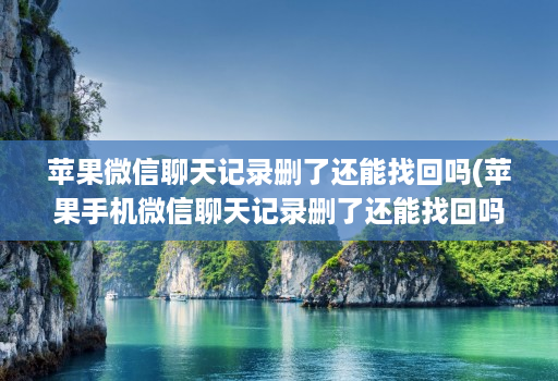 苹果微信聊天记录删了还能找回吗(苹果手机微信聊天记录删了还能找回吗 )