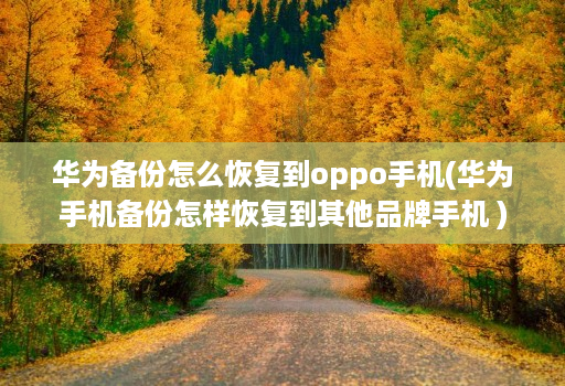 华为备份怎么恢复到oppo手机(华为手机备份怎样恢复到其他品牌手机 )