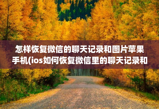 怎样恢复微信的聊天记录和图片苹果手机(ios如何恢复微信里的聊天记录和图片 )