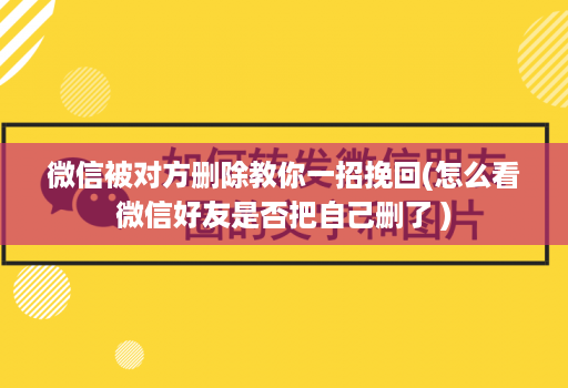 微信被对方删除教你一招挽回(怎么看微信好友是否把自己删了 )