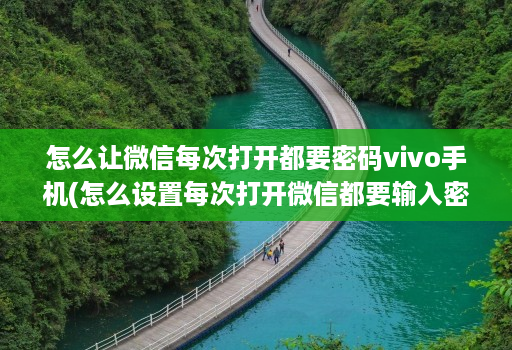 怎么让微信每次打开都要密码vivo手机(怎么设置每次打开微信都要输入密码 )