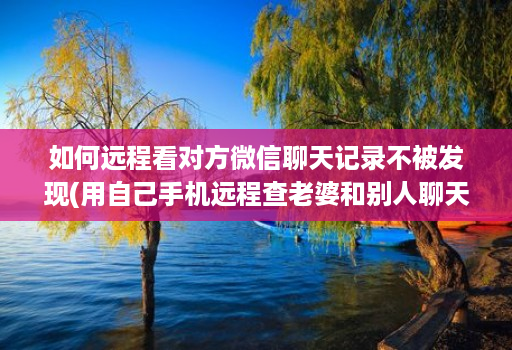 如何远程看对方微信聊天记录不被发现(用自己手机远程查老婆和别人聊天 )