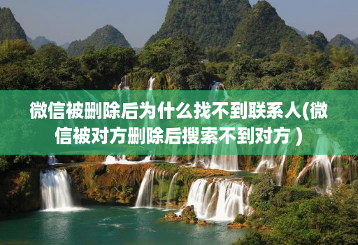 微信被删除后为什么找不到联系人(微信被对方删除后搜索不到对方 )