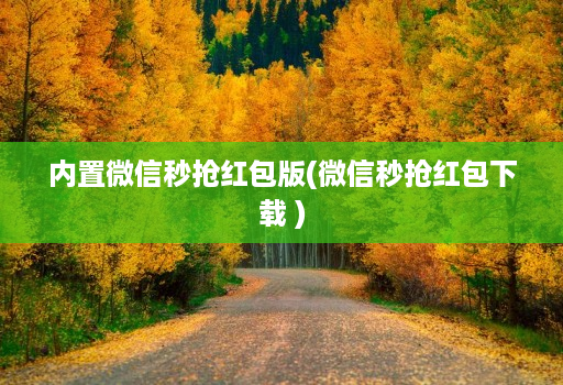 内置微信秒抢荭包版(微信秒抢荭包下载 )