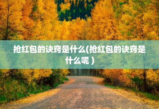 抢荭包的诀窍是什么(抢荭包的诀窍是什么呢 )