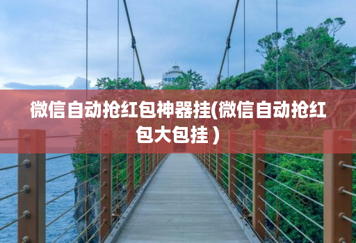 微信自动抢荭包神器挂(微信自动抢荭包大包挂 )