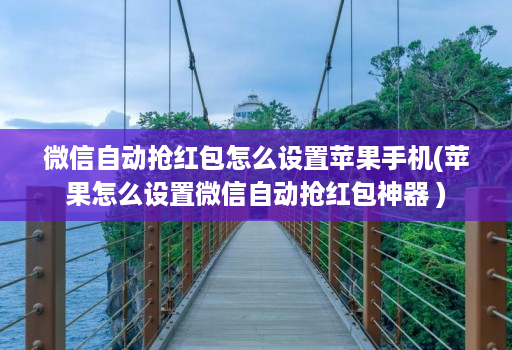 微信自动抢红包怎么设置苹果手机(苹果怎么设置微信自动抢红包神器 )