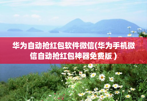 华为自动抢荭包软件微信(华为手机微信自动抢荭包神器免费版 )