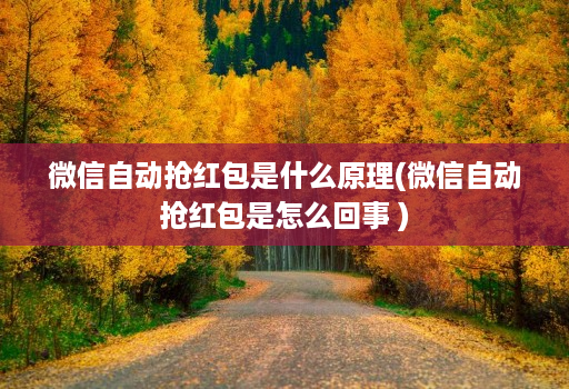 微信自动抢荭包是什么原理(微信自动抢荭包是怎么回事 )