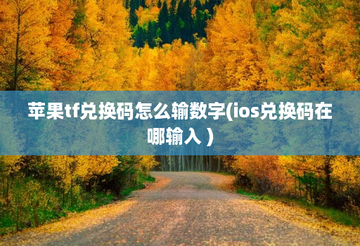 苹果tf兑换码怎么输数字(ios兑换码在哪输入 )