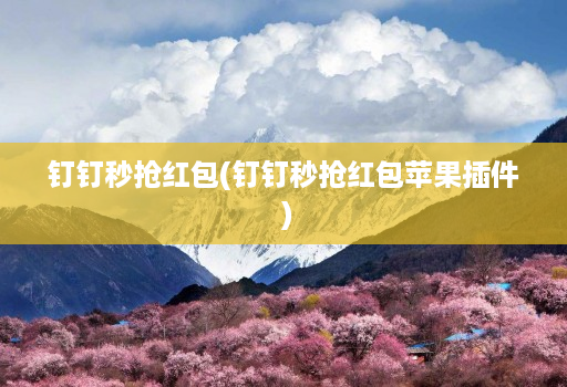 钉钉秒抢荭包(钉钉秒抢荭包苹果插件 )