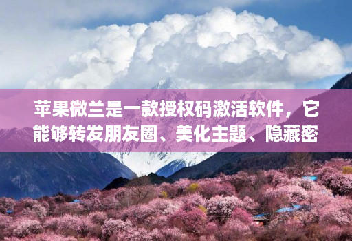 苹果微兰是一款授权码激活软件，它能够转发朋友圈、美化主题、隐藏密友和自动跟圈，还具备分身功能。