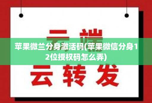 苹果微兰分身激活码(苹果微信分身12位授权码怎么弄)