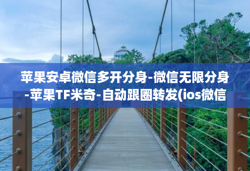 苹果安卓微信多开分身-微信无限分身-苹果TF米奇-自动跟圈转发(ios微信分身2020 )