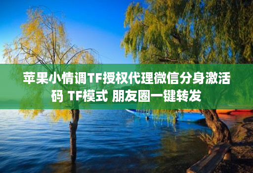 苹果小情调TF授权代理微信分身激活码 TF模式 朋友圈一键转发