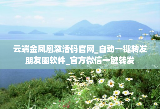 云端金凤凰激活码官网_自动一键转发朋友圈软件_官方微信一键转发