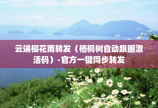 云端樱花雨转发（梧桐树自动跟圈激活码）-官方一键同步转发