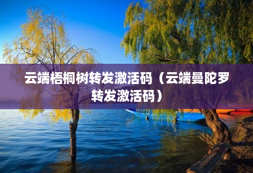 云端梧桐树转发激活码（云端曼陀罗转发激活码）