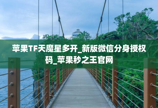 苹果TF天魔星多开_新版微信分身授权码_苹果秒之王官网