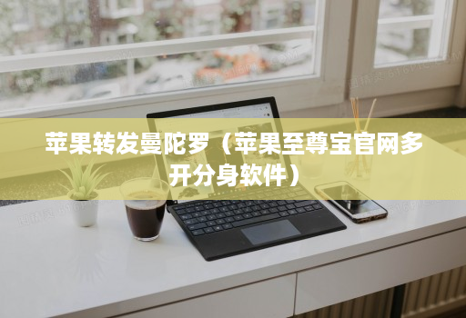 苹果转发曼陀罗（苹果至尊宝官网多开分身软件）