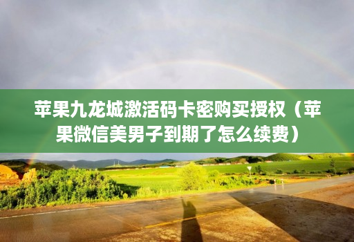 苹果九龙城激活码卡密购买授权（苹果微信美男子到期了怎么续费）