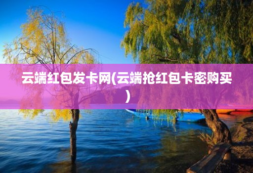 云端红包发卡网(云端抢荭包卡密购买 )