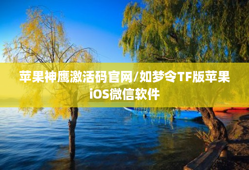苹果神鹰激活码官网/如梦令TF版苹果iOS微信软件