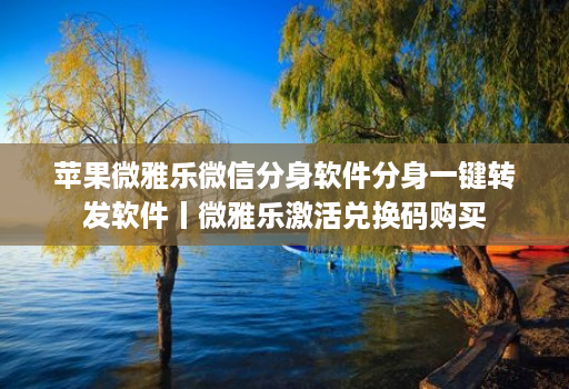 苹果微雅乐微信分身软件分身一键转发软件丨微雅乐激活兑换码购买