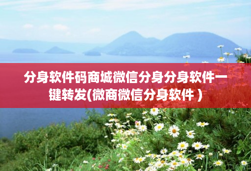 分身软件码商城微信分身分身软件一键转发(微商微信分身软件 )
