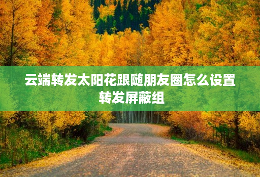 云端转发太阳花跟随朋友圈怎么设置 转发屏蔽组