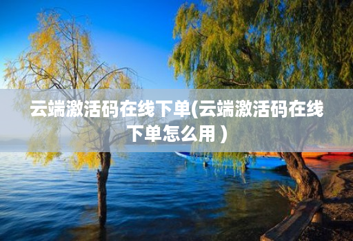 云端激活码在线下单(云端激活码在线下单怎么用 )