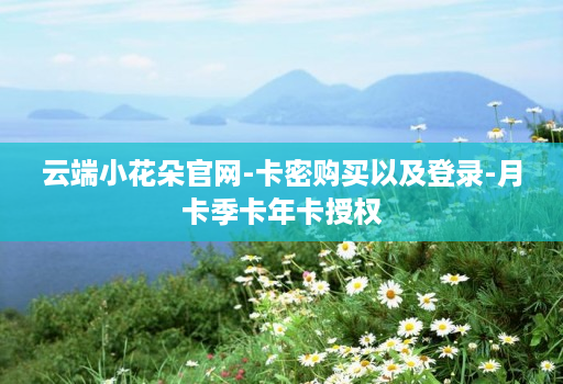 云端小花朵官网-卡密购买以及登录-月卡季卡年卡授权