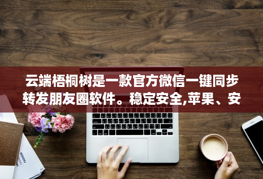 云端梧桐树是一款官方微信一键同步转发朋友圈软件。稳定安全,苹果、安卓、华为手机通用