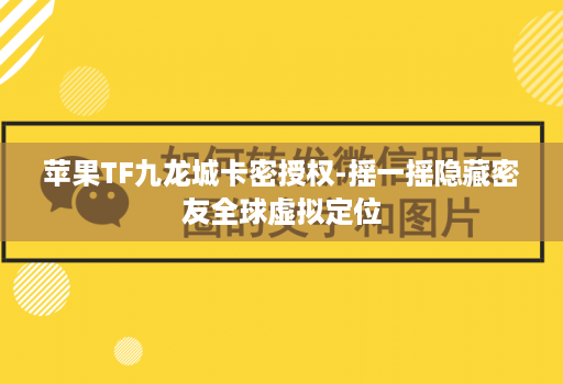 苹果TF九龙城卡密授权-摇一摇隐藏密友全球虚拟定位
