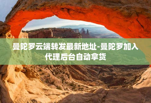 曼陀罗云端转发最新地址-曼陀罗加入代理后台自动拿货