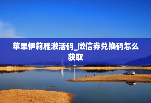 苹果伊莉雅激活码_微信券兑换码怎么获取