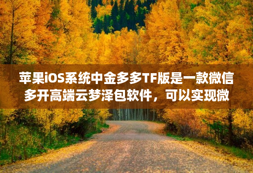 苹果iOS系统中金多多TF版是一款维信哆开高端云梦泽包软件，可以实现微信分身功能