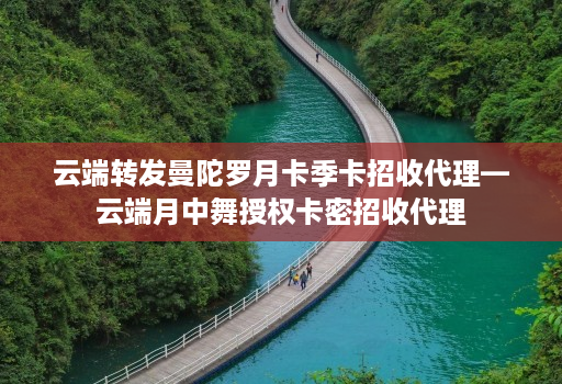 云端转发曼陀罗月卡季卡招收代理—云端月中舞授权卡密招收代理