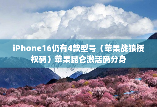 iPhone16仍有4款型号（苹果战狼授权码）苹果昆仑激活码分身