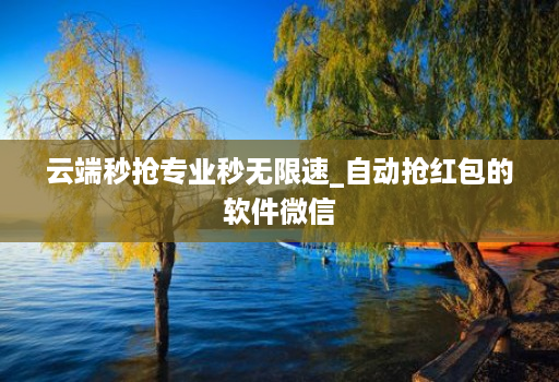 云端秒抢专业秒无限速_自动抢红包的软件微信