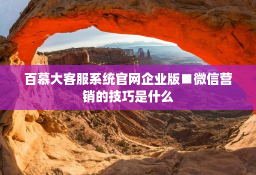 百慕大客服系统官网企业版■微信营销的技巧是什么