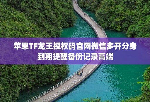 苹果TF龙王授权码官网微信多开分身到期提醒备份记录高端
