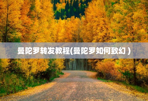 曼陀罗转发教程(曼陀罗如何致幻 )