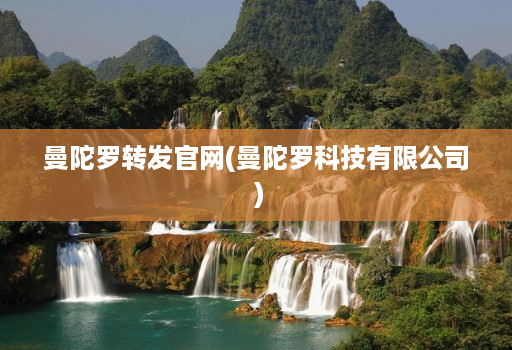 曼陀罗转发官网(曼陀罗科技有限公司 )
