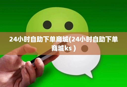 24小时自助下单商城(24小时自助下单商城ks )
