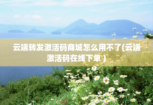 云端转发激活码商城怎么用不了(云端激活码在线下单 )