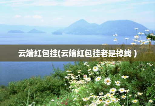云端红包挂(云端红包挂老是掉线 )